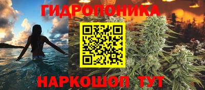 Альфа ПВП Краснознаменск