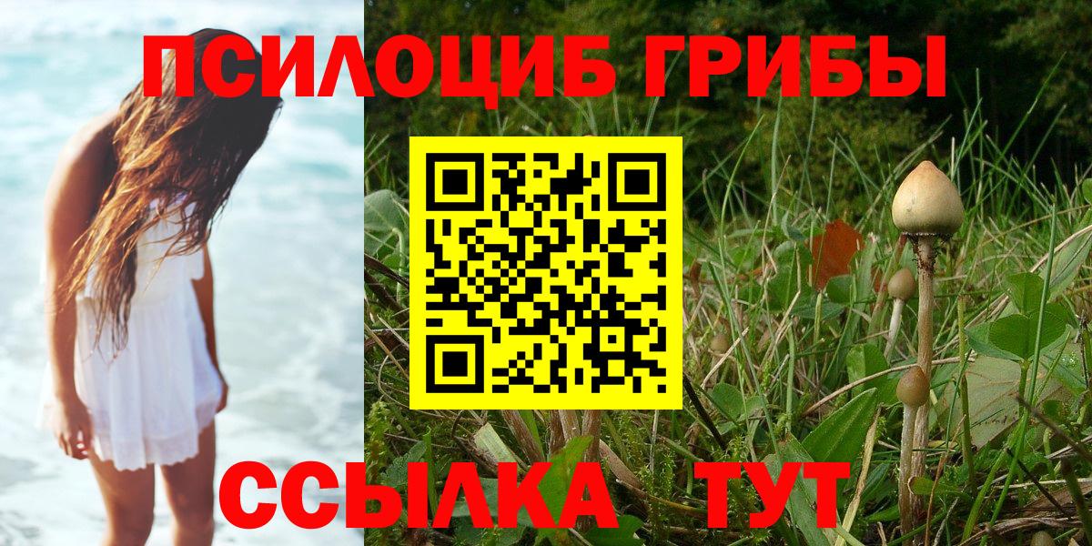 Галлюциногенные грибы прущие грибы  Вход с VPN  магазин продажи   Ижевск 
