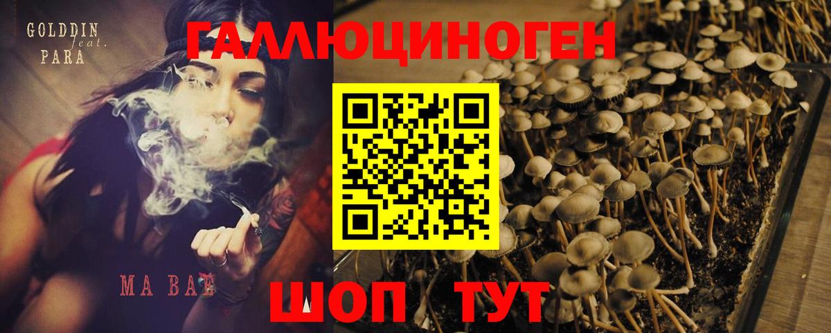 Галлюциногенные грибы GOLDEN TEACHER Ижевск